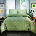 thumbnail image 1 of Ensemble de Draps Imprimés Paisley Collection, 600 Fils, Riche en Coton (Double Sauge), 1 of 1
