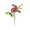 B, variant on Qocolhg Outdoor Christmas Decorations Indoor, 5PCS Simulation Of Small Red Fruit Berry Christmas Decoration Artificial Flower Home Table Decoration, Christmas Tree Ornaments Decor Clearance