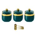 thumbnail image 4 of veasfak Ceramic Spice Jar Cute Organizer Seasoning Box for Buffets Sugar Restaurants three jar, 4 of 9