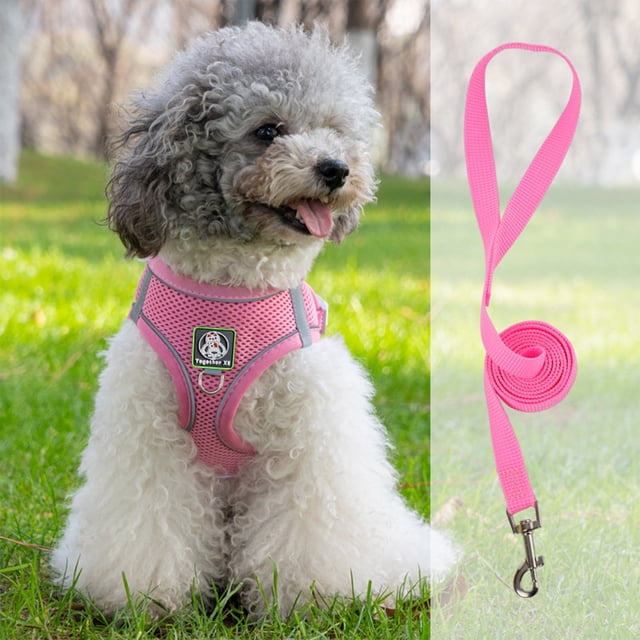 EGNMCR Pet Harnesses And Leash Set\ Soft And Breathable Vests With Reflective Strip\ Escape Proof Pet Harnesses\ Easy To Wear For Pet Walking And Running Dogs leash