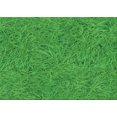 thumbnail image 1 of Ahgly Company Machine Washable Indoor Rectangle Transitional Green Area Rugs, 4' x 6', 1 of 7