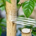 thumbnail image 3 of Self-adhesive Garden Fruit Tree Belt Grafting Tape Transparent Stretch Film, 3 of 7