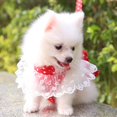 thumbnail image 4 of Dog Bowknot Harness with Leash Set For Small Medium Dogs Cat Lace Print Fashion Party, 4 of 8