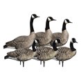 thumbnail image 1 of Avian X AXP 6 Pcs Leurre de Sentinelle Réaliste pour Chasse en Plein Air, 1 of 8