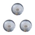 thumbnail image 2 of Baohd Exquisite Flower Crystal Ball Adding Elegance To Space Easily Portable Dandelions 6cm 3Set, 2 of 6