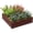 Dark Brown Wood Effect, variant on 4' x 4' x 1' Raised Garden Bed Galvanized Steel Planter Box Silver