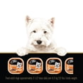 thumbnail image 3 of Cesar Classic Loaf in Sauce Grilled Chicken Flavour Soft Wet Dog Food, 3 of 4