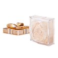 thumbnail image 4 of lionlar Face Concealer Creates Soft Focus Effect Natural White, 4 of 8