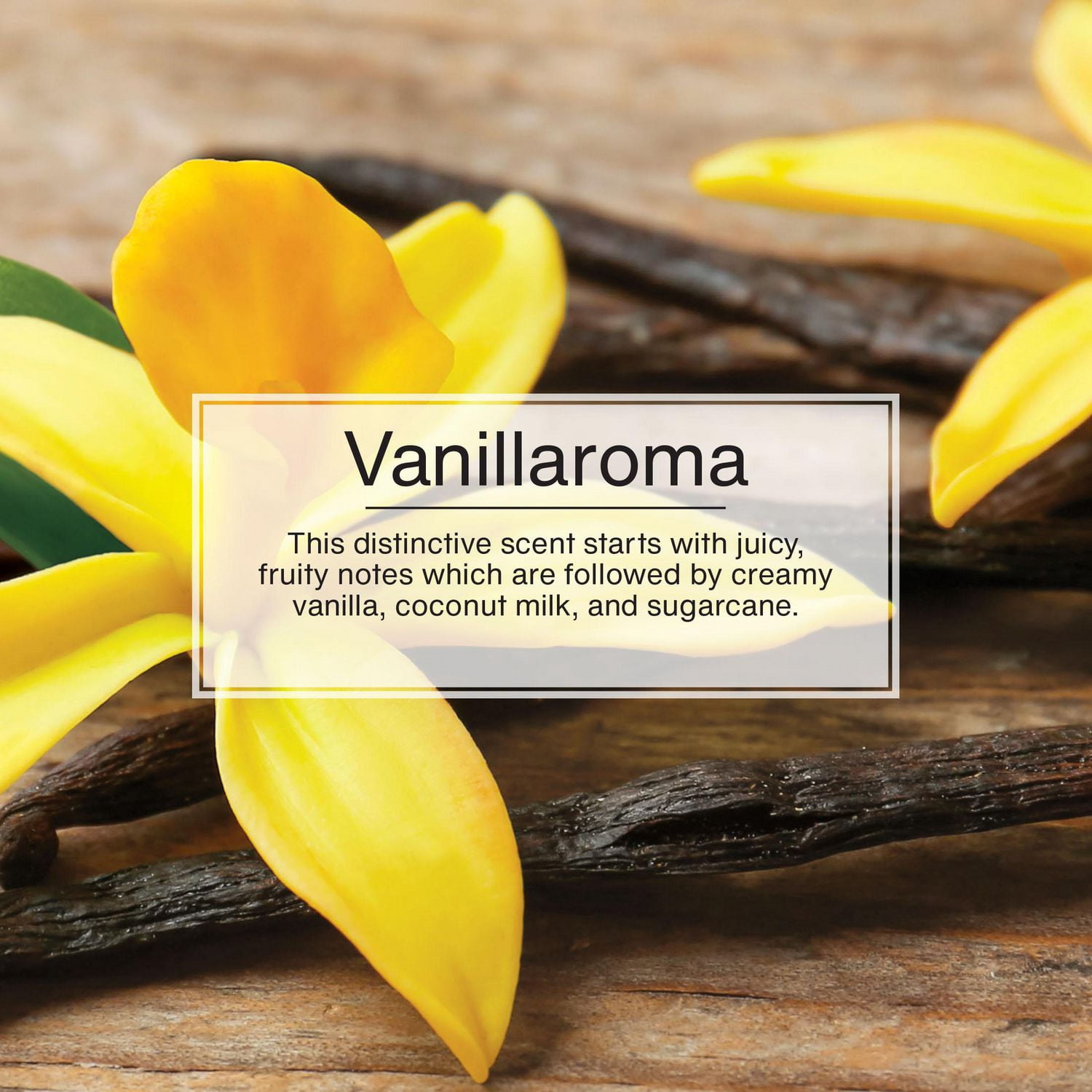 LITTLE TREES air freshener Vanillaroma 24 Count