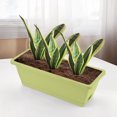 thumbnail image 1 of LSLJS Plastic Vegetable Flower Planters Boxes Vegetable Planting Pots Flower Pots Balcony Vegetable Planting Trough for Indoor Outdoor Garden, Patio, Home Decor, 1 of 3