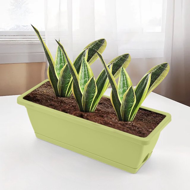 LSLJS Plastic Vegetable Flower Planters Boxes Vegetable Planting Pots Flower Pots Balcony Vegetable Planting Trough for Indoor Outdoor Garden, Patio, Home Decor