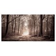 thumbnail image 2 of Forest Trail in Sepia - Landscape Photography Canvas Art Print, 2 of 3