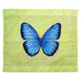 thumbnail image 1 of Betsy Drake TP348 24 x 30 Po. Crochets Muraux Extérieurs Bleus Morpho, 1 of 3