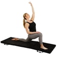 thumbnail image 1 of Sunny Health & Fitness Tri-Fold Exercise Mat, 1 of 7