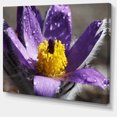 thumbnail image 2 of Fleur Violette avec Stigmate Jaune - Impression sur Toile Florale, 2 of 3