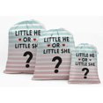thumbnail image 1 of Darling Souvenir Multicolore Petit Lui Ou Petite Elle Fournitures de Fête de Baby Shower Pochettes à Cordon Sacs à Cadeaux 15 Pcs, 1 of 5