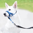 thumbnail image 1 of No Pull Dog Head with Soft Padding for Leash Training and Easy Walking Control, 1 of 6
