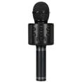 thumbnail image 1 of Professional Microphone Karaoke Speaker KTV Music Player Singing Recorder Handheld Microphone Black, 1 of 7