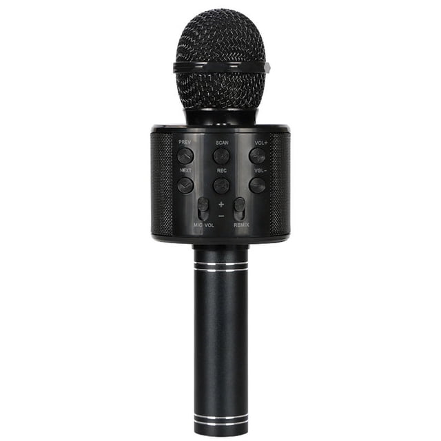Professional Microphone Karaoke Speaker KTV Music Player Singing Recorder Handheld Microphone Black