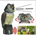 thumbnail image 1 of EIGTHTAIL Hibou Leurre Réaliste Épouvantail en Plastique Résistant aux Intempéries Dissuasif pour Oiseaux d'Extérieur, 1 of 6