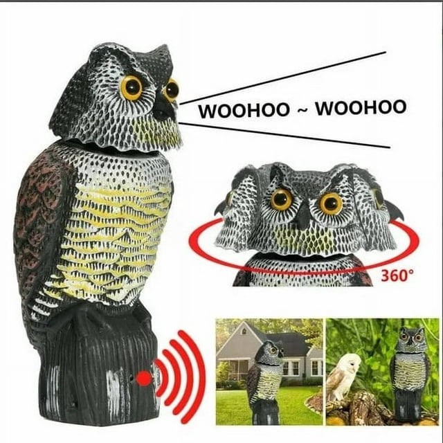 EIGTHTAIL Hibou Decoy Réaliste Plastique Scarecrow Résistant aux Intempéries pour l'Extérieur, Dissuasif pour Oiseaux avec un design Multicolore Réaliste, Doté d'Une Tête Rotative à 360 Degrés et d'Un Capteur Activé par le Son. Fabriqué en Plastique durable et Résistant aux Intempéries, Convient aux Jardins, Cours, Balcons et Terrasses pour Dissuader Efficacement les Oiseaux, les Organismes Malgènes et les Rongeurs Toute l'Année. Idéal pour le Contrôle des Organismes Malgènes au Jardin et la Protection des Récoltes.