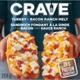 thumbnail image 1 of CRAVE Turkey & Bacon Ranch Frozen Melt, 1 of 7
