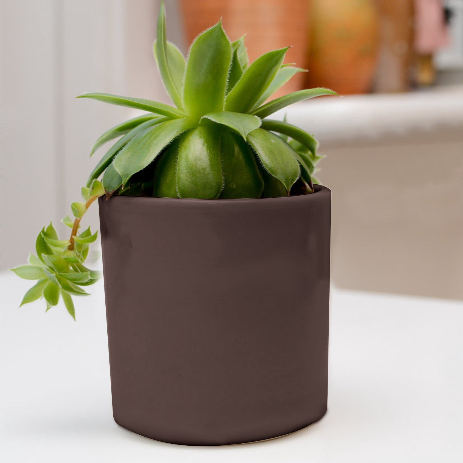 1-Pack Ceramic Plant Pots, 5Inch Plastic Planters Round Flower Planter Containers Flower Pots for Indoor/Outdoor/Garden, Plant Holder ,Coffee 1