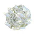 thumbnail image 1 of Novelty Lights 50 Light LED Twinkle Christmas LED Mini Light Set, Outdoor Fairy Wedding String Lights, Warm White, Green Wire, 25 Feet, 1 of 7