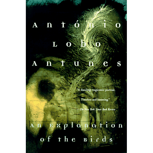 An Explanation of the Birds (Antunes, Antonio Lobo)