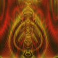 thumbnail image 1 of Ahgly Company Tapis d'Intérieur Lavable en Machine Carré Transitionnel Acajou Brun, 7 Pieds Carré, 1 of 7