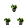 thumbnail image 2 of Decodeary Green Eco-friendly Artificial Money Tree In Pot Long-lasting Durability Realistic Appearance new whitebabysbreath 3Set, 2 of 6