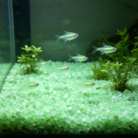 10Pcs Glowing Pebbles For Aquarium, Yannianjz Glow In The Dark Pebbles, Luminous Plastic Aquarium Stones, Fluorescent Vase Decor For Aquascaping Gardening Substrate Fish Tank