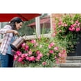 thumbnail image 5 of Miracle-Gro Water Soluble Bloom Booster Plant Food - 1.5kg, 5 of 5