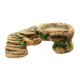 thumbnail image 4 of Tachiuwa Rampe d'Escalade Échelle d'Escalade Terrasse pour Tortue Plateforme de Repos pour Se Détendre m, 4 of 9