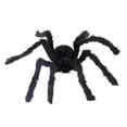 thumbnail image 1 of HomeSphere Halloween Spiderr Giant Webworm Outdoor Black Soft Hairy Scary Realistic Decor, 1 of 6