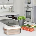 thumbnail image 1 of TIMIFIS Pumpable Organiser Vacuum Preservation Box Food Grade Pumping Sealed Box Refrigerator Draining Large Storage Jar Food Fruit Storage Box 2.7L Kitchen Essentials, 1 of 7
