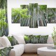 thumbnail image 1 of Dense Bamboo Forest of Japan, 1 of 3