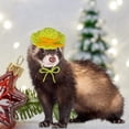 thumbnail image 4 of Small Pet Hat Adorable Knitted Hamster Hat Adjustable Comfortable Small Pets Headwear Pet Costume Accessory, 4 of 6