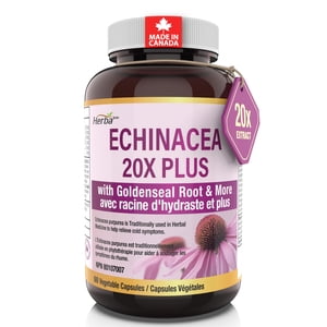 Herba Echinacea Capsules with Goldenseal Root – 60 Capsules | 4500mg of Echinacea Per Day | Made in Canada