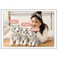 thumbnail image 2 of Honganda Poupée en Peluche Jouet Apaisant en Forme de Tiger, 2 of 6