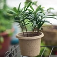 thumbnail image 3 of Top Pick,Nursery Pots Pulp Peat Pot Plant Cup Tray Flowers Potted Plant -,PENDANE,E, 3 of 9