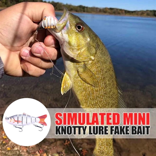 BKER Hameçon de Poisson 3D de Simulation Forme de Poisson Réaliste Fournitures de Pêche pour Lac Rivière pour Amateurs de Pêche Débutants