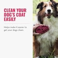 thumbnail image 2 of Kong ZoomGroom, Dog Grooming Brush, Raspberry, 2 of 7