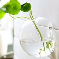 thumbnail image 1 of DYNWAVECA VARIOUS Wall Hanging Glass Flower Vase Terrarium Container Tabletop Decor Wedding Decoration - Transparent, Ball 12cm, 1 of 10