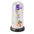 thumbnail image 1 of Preserved Flower, Romantic Elegant Transparent Box Eternal Rose  for Holiday Purple, 1 of 7