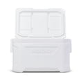 thumbnail image 3 of Igloo Marine Profile II 50 cooler 47 liter, 3 of 7
