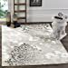thumbnail image 3 of Safavieh Adirondack Silver Area Rug - 5'1" x 7'6", 3 of 10