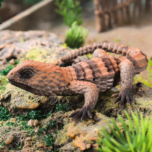 Figurine de Lézard en Caoutchouc Souple Vif Jouet Reptile de Zoo Collection Accessoire Jouet pour Enfants Cadeau