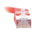 thumbnail image 5 of C2G 7ft Cat5e Snagless Shielded (STP) Ethernet Network Patch Cable - Red - Patch cable - RJ-45 (M) to RJ-45 (M) - 7 ft - STP - CAT 5e - molded, stranded - red, 5 of 5
