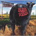 thumbnail image 1 of Blink 182 - Dude Ranch, 1 of 1